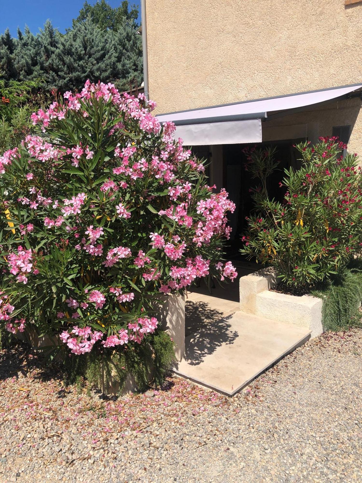 Apartamento Le Cocon De Provence Fayence Exterior foto