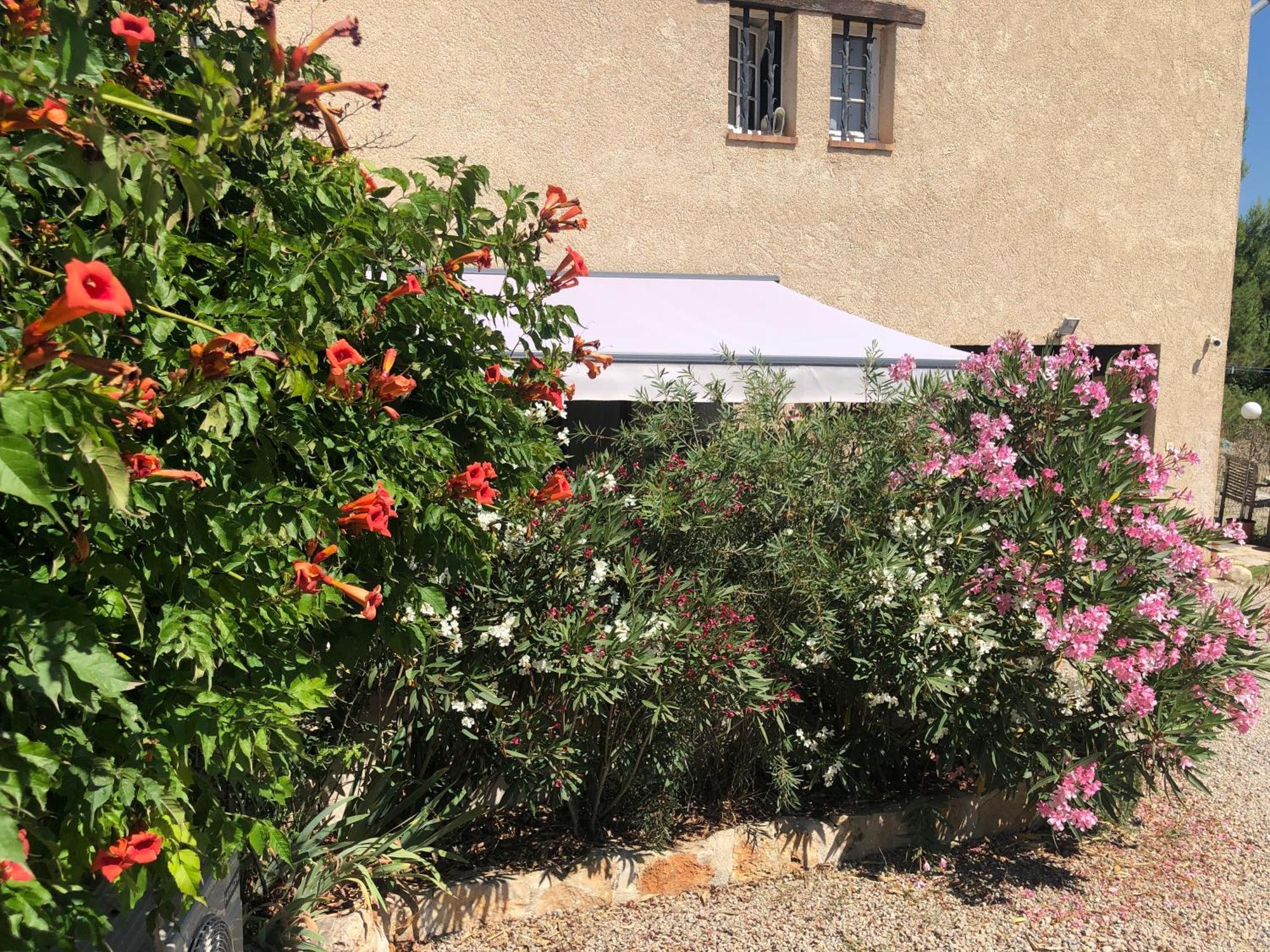Apartamento Le Cocon De Provence Fayence Exterior foto